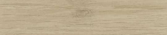 Wallpole Oak