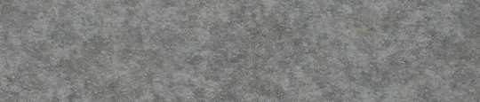 Grey Albus